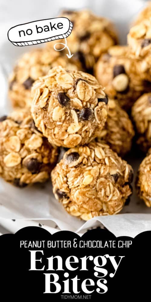 Peanut Butter No-Bake Energy Bites - TidyMom®