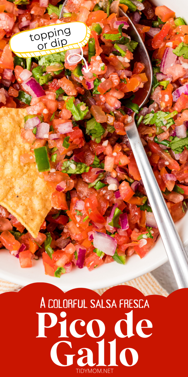 bowl of salsa Fresca with a spoon and a chip