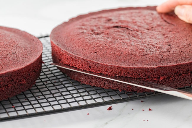 slicing red velvet cake layers in half