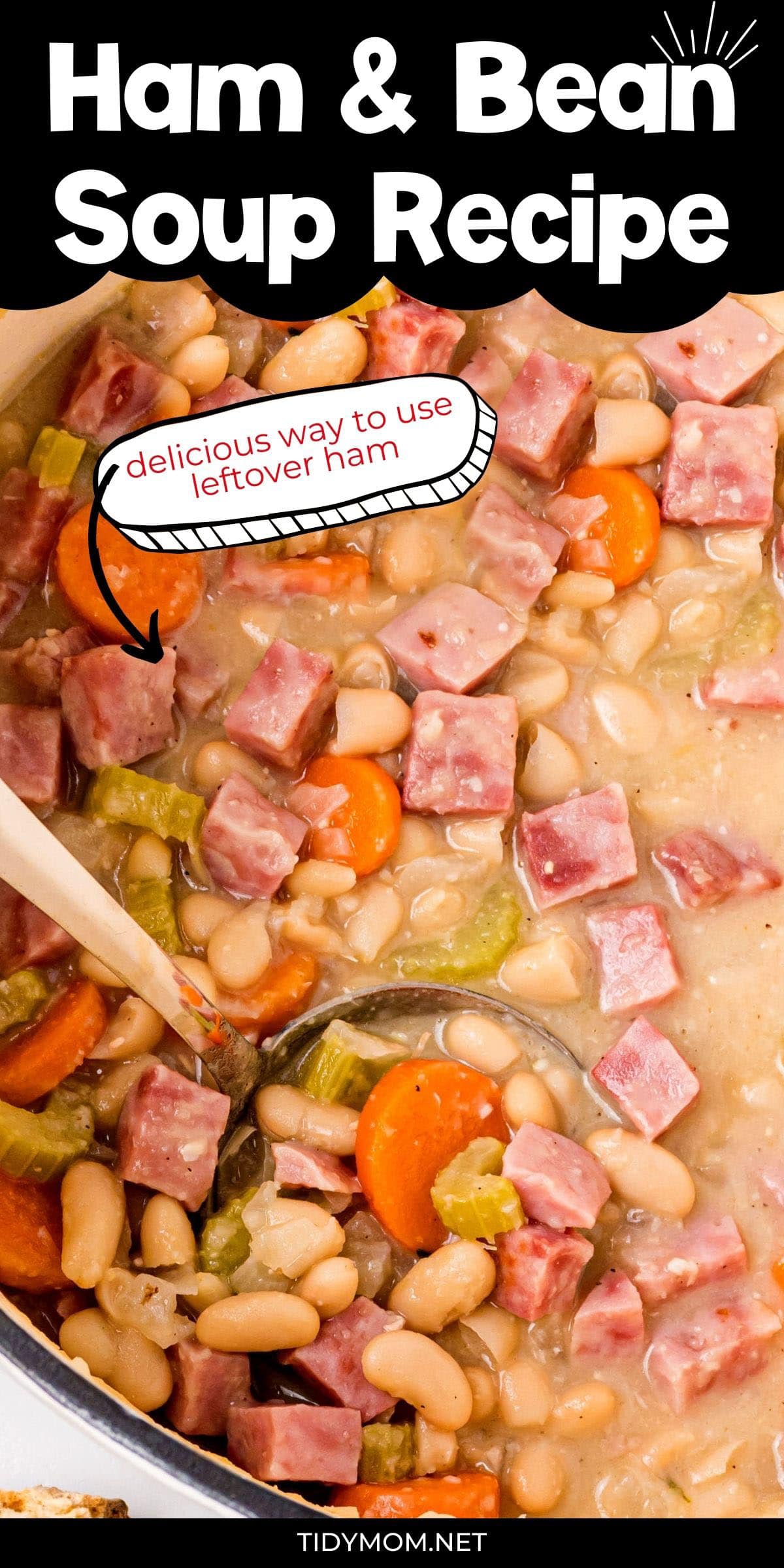 Easy Ham And Bean Soup Recipe - TidyMom®