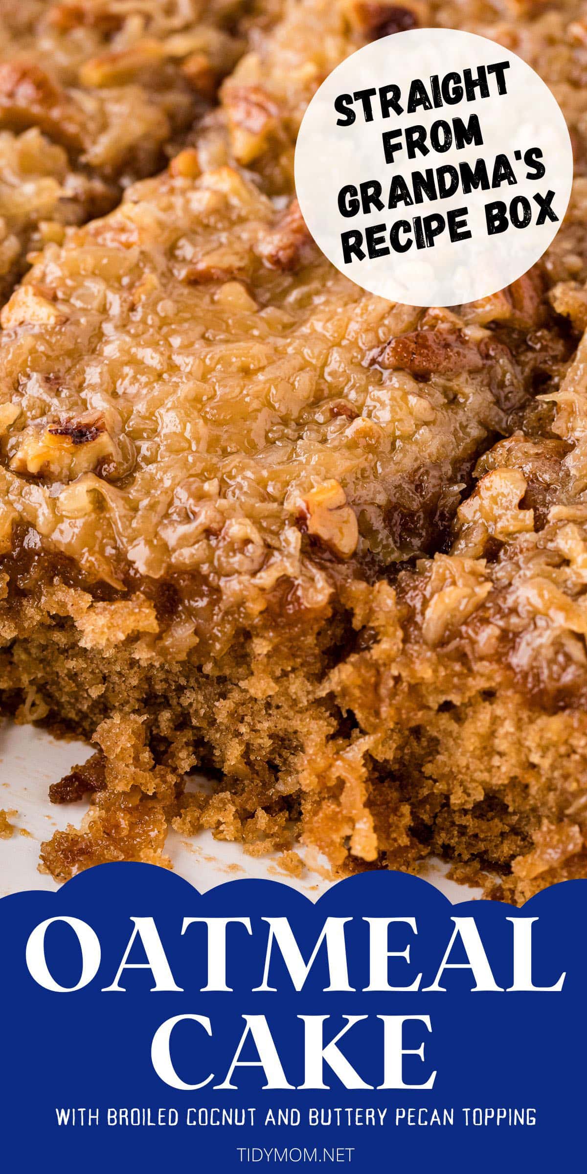 Oatmeal Cake With Broiled Icing Just Like Grandma’s TidyMom®