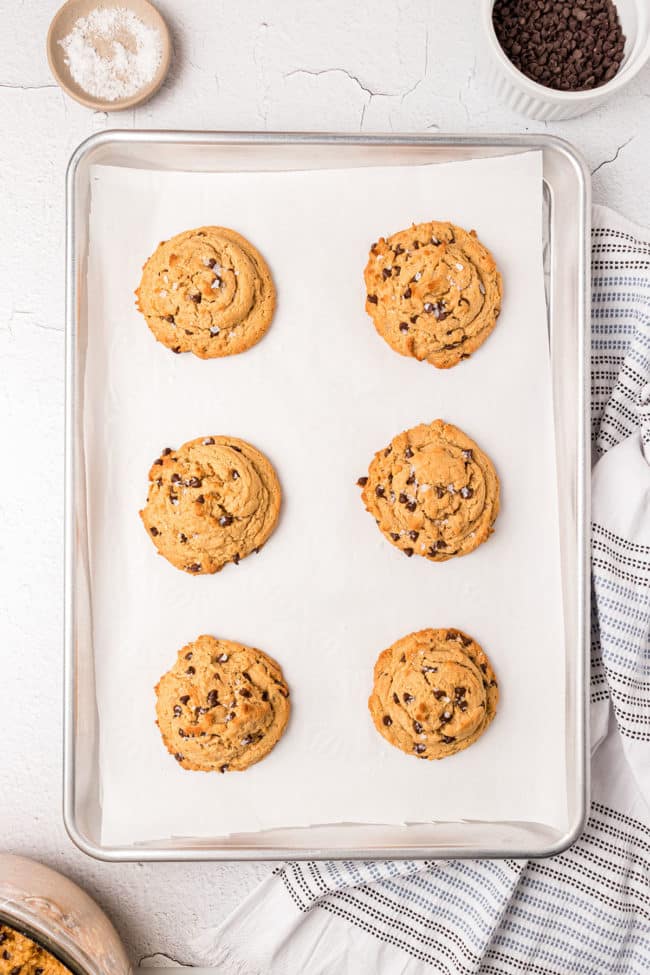 fresh baked peanut butter chocolate chip cake mix cookies on a cookie sheet