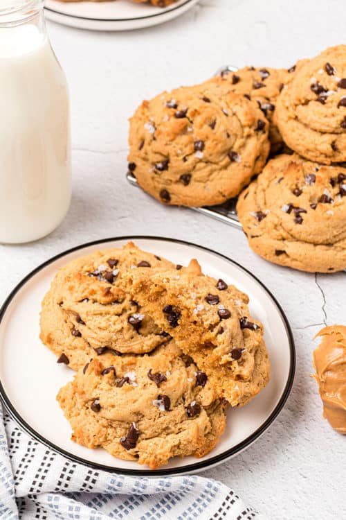 Peanut Butter Chocolate Chip Cake Mix Cookies TidyMom®