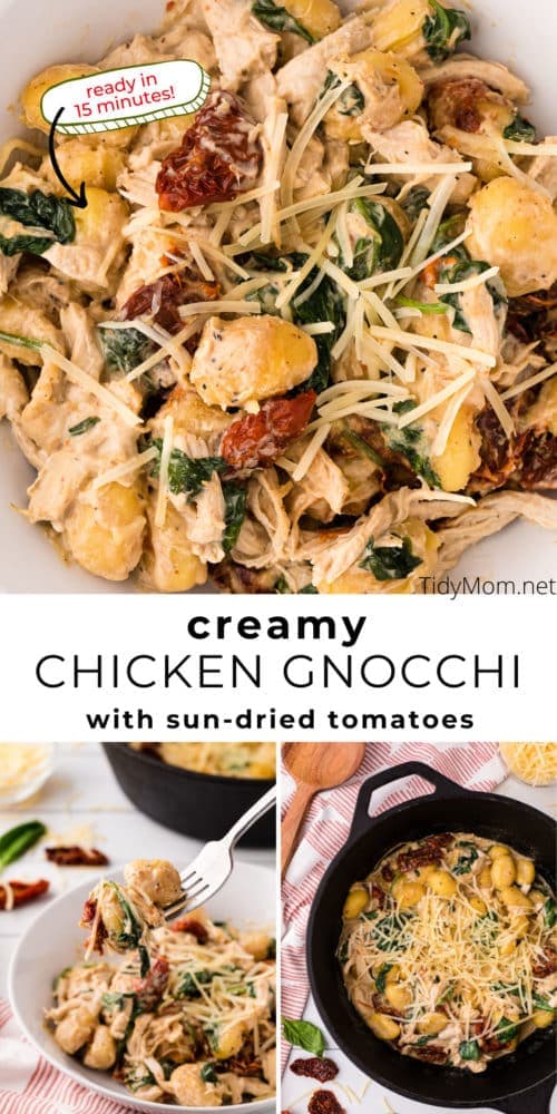 Creamy Chicken Gnocchi With Sun-Dried Tomato - TidyMom®