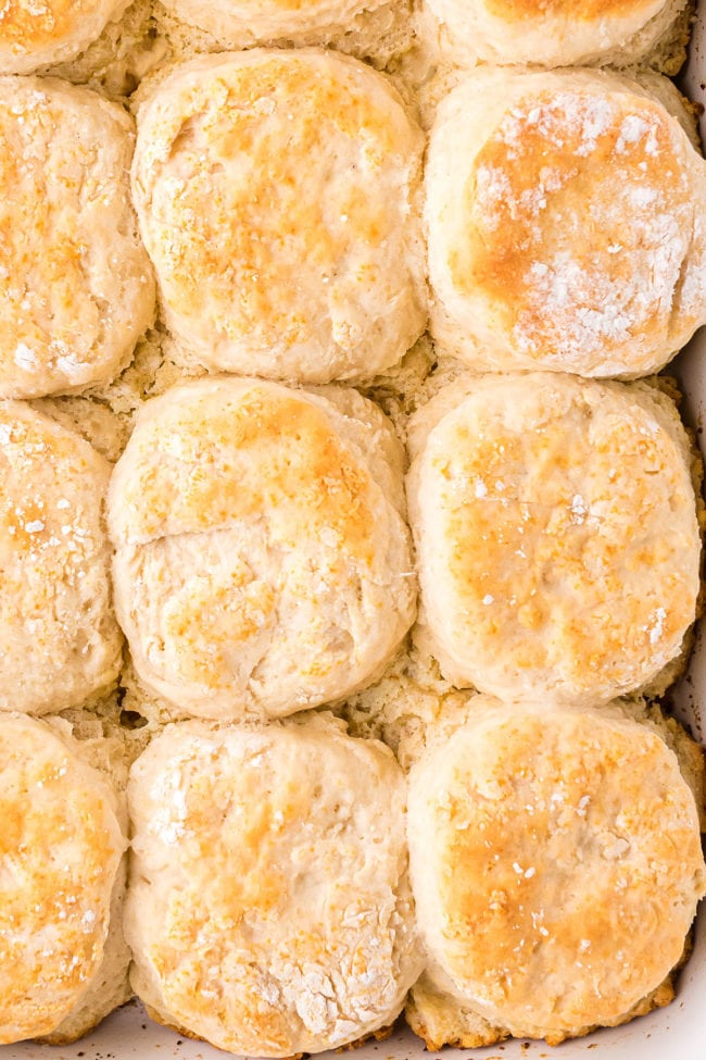 close up of fresh baked biscuits