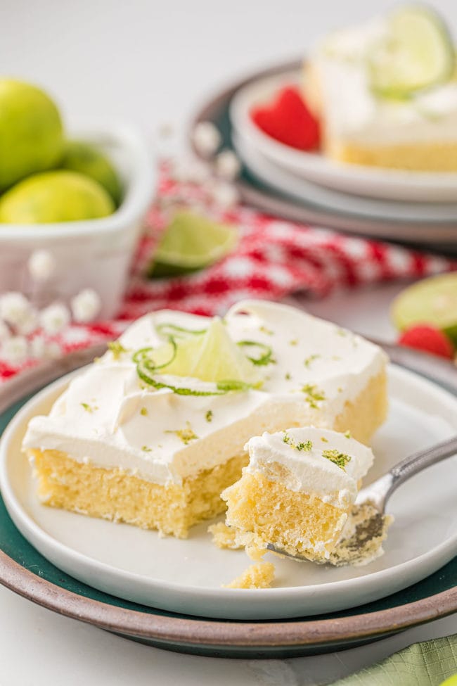 bite of cake on a plate with a serving of cake on a plate