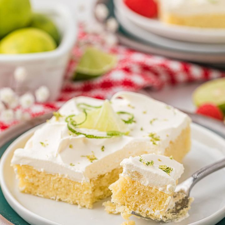 bite of cake on a plate with a serving of cake on a plate