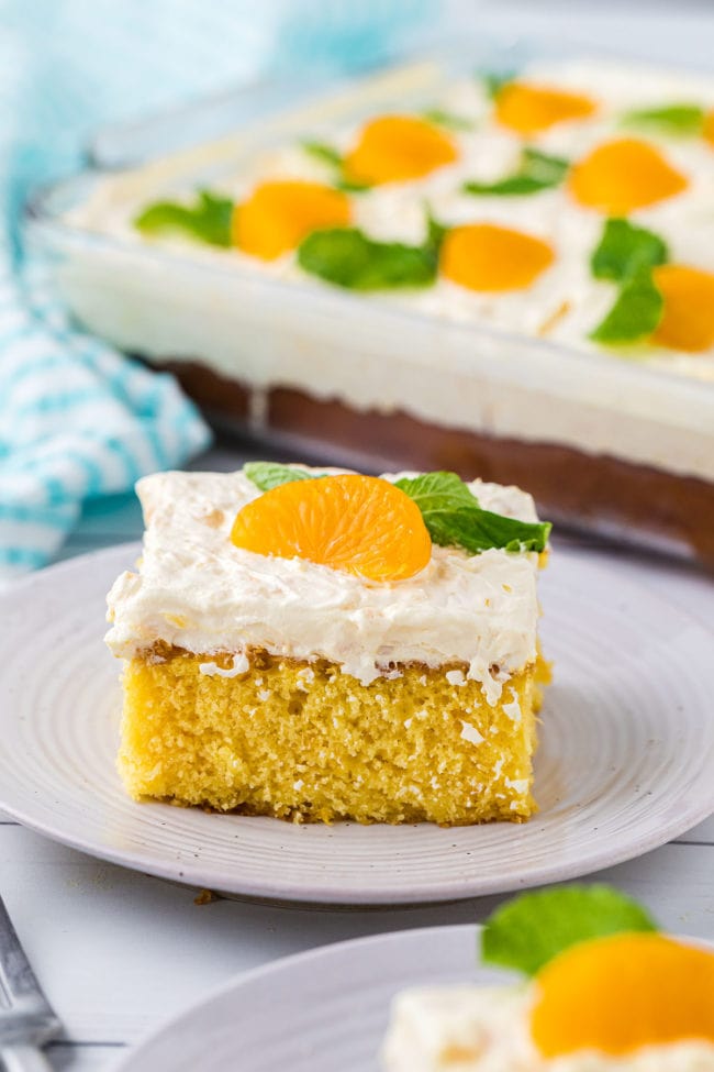 slice of cake on a plate and full cake in background