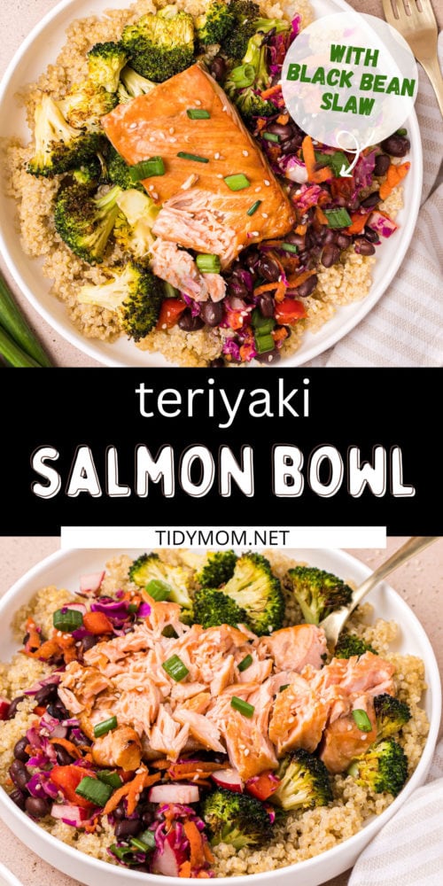 Teriyaki Salmon Bowl Quinoa Recipe-Asian Slaw - TidyMom®