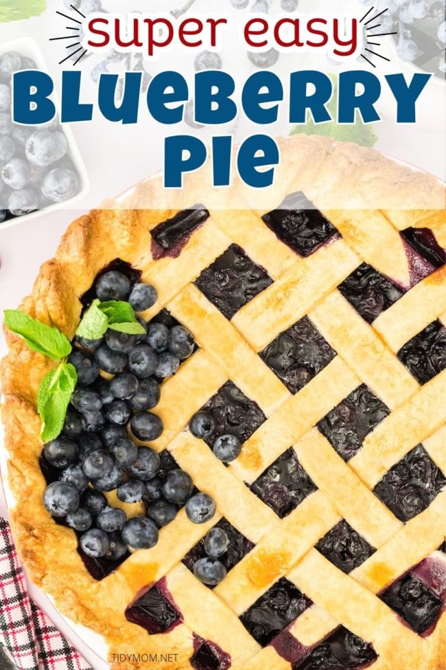 blueberry pie with lattice crust and fresh blueberries