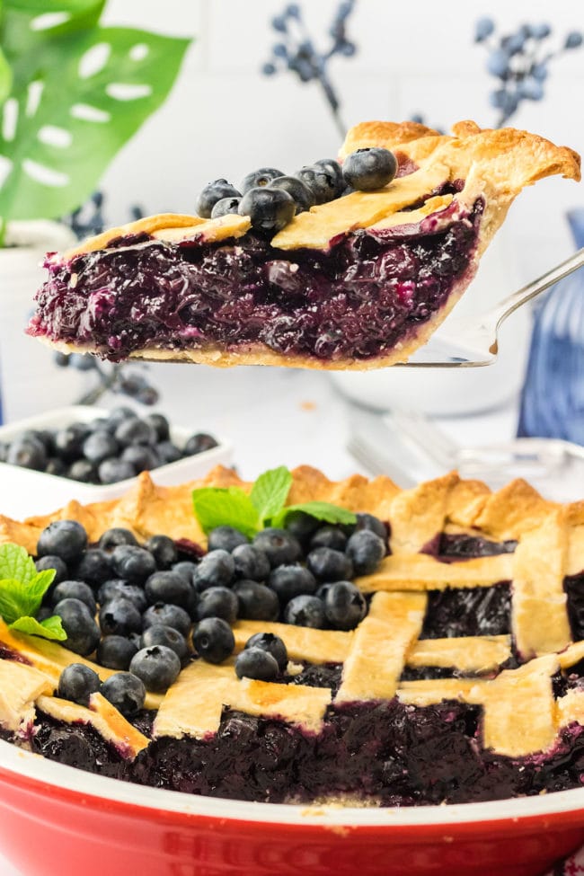 a slice of blueberry pie on a pie server over a pie plate.