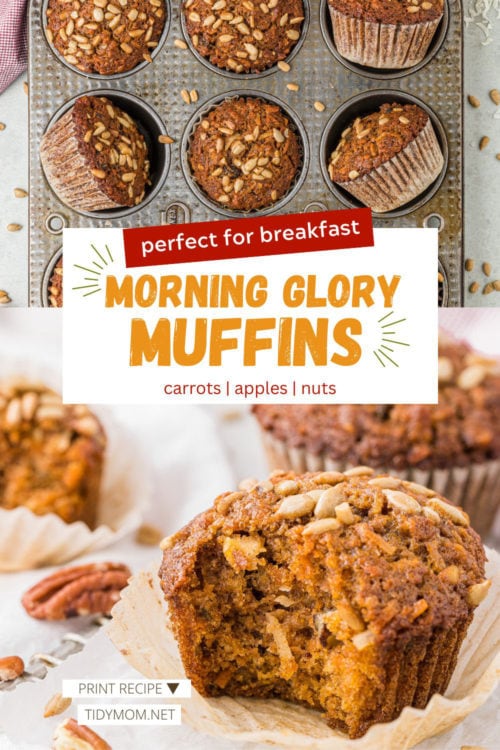 Morning Glory Muffins (& Energy Snack) - TidyMom®