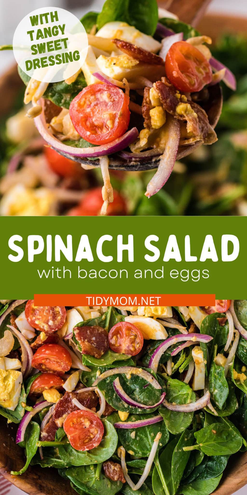 Insanely Good Spinach Salad With Bacon and Eggs - TidyMom®