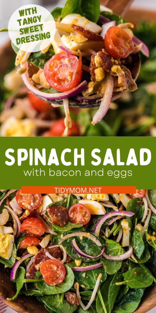 spinach salad photo collage