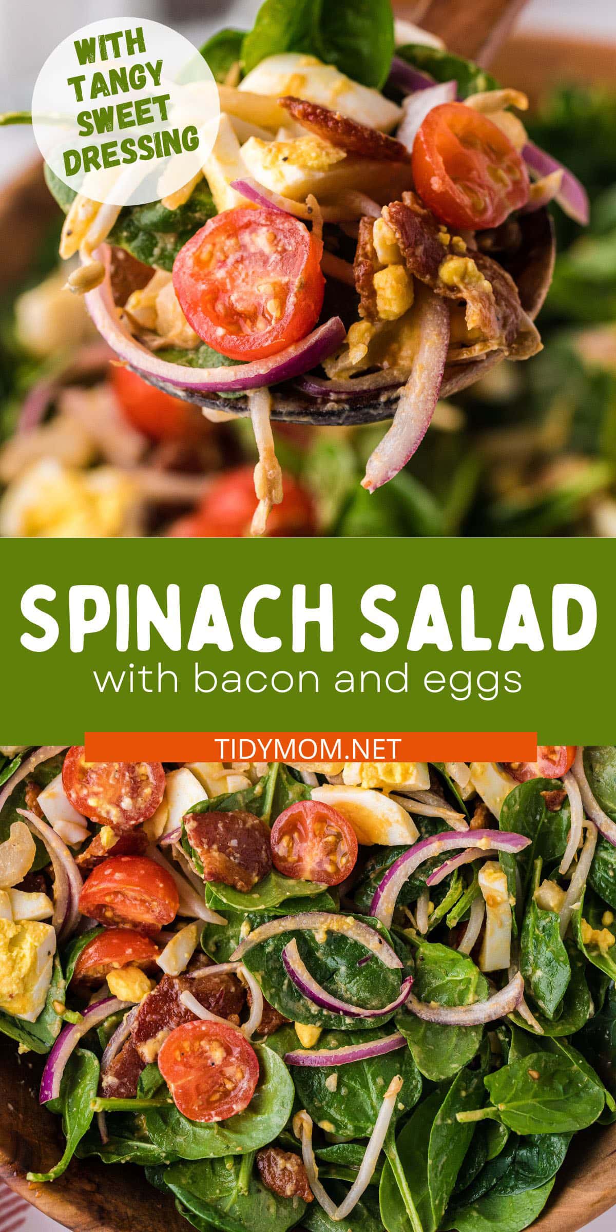 Insanely Good Spinach Salad With Bacon and Eggs - TidyMom®