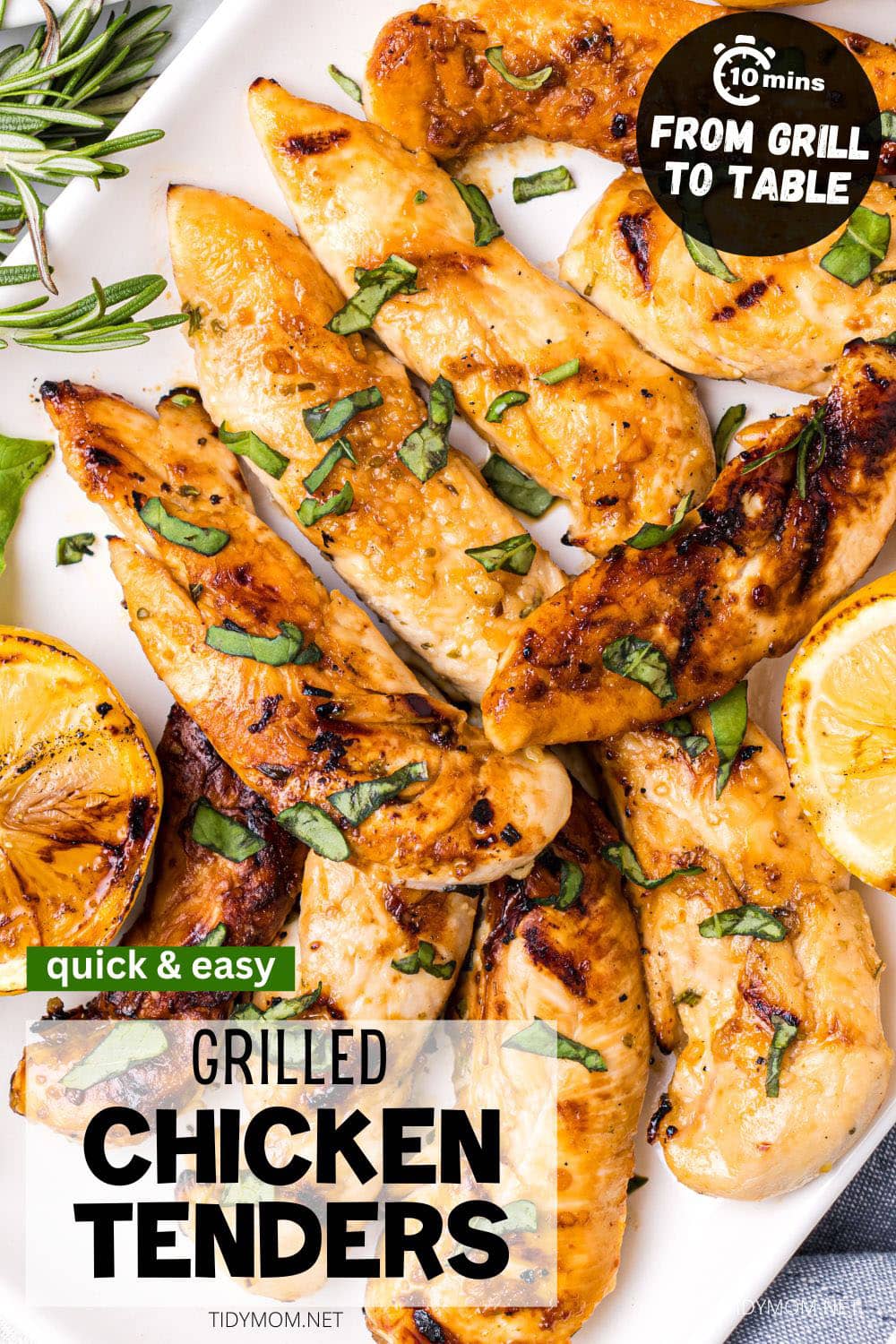 Grilled Chicken Tenders