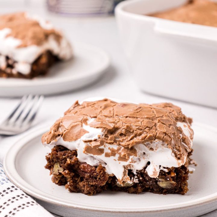 serving of chocolate mud cake on white plate