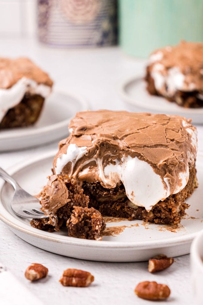 A serving of chocolate mud cake with pecans around it