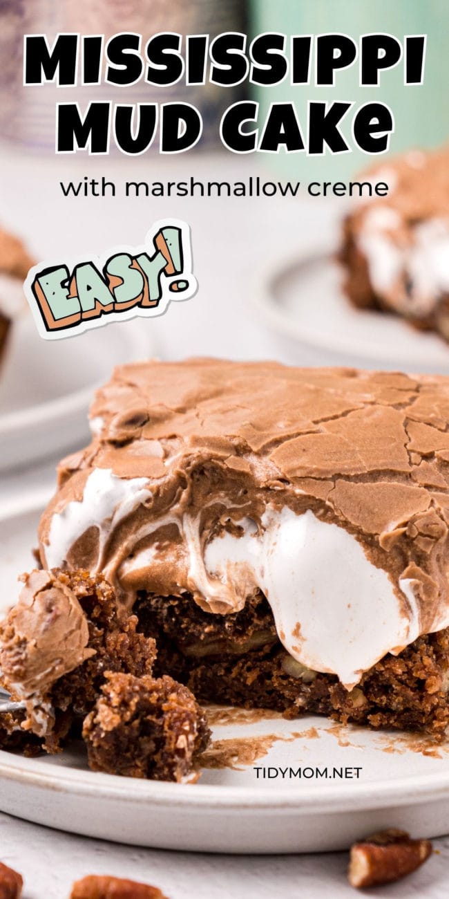 close up of a serving of Mississippi mud cake with marshmallow creme oozing out