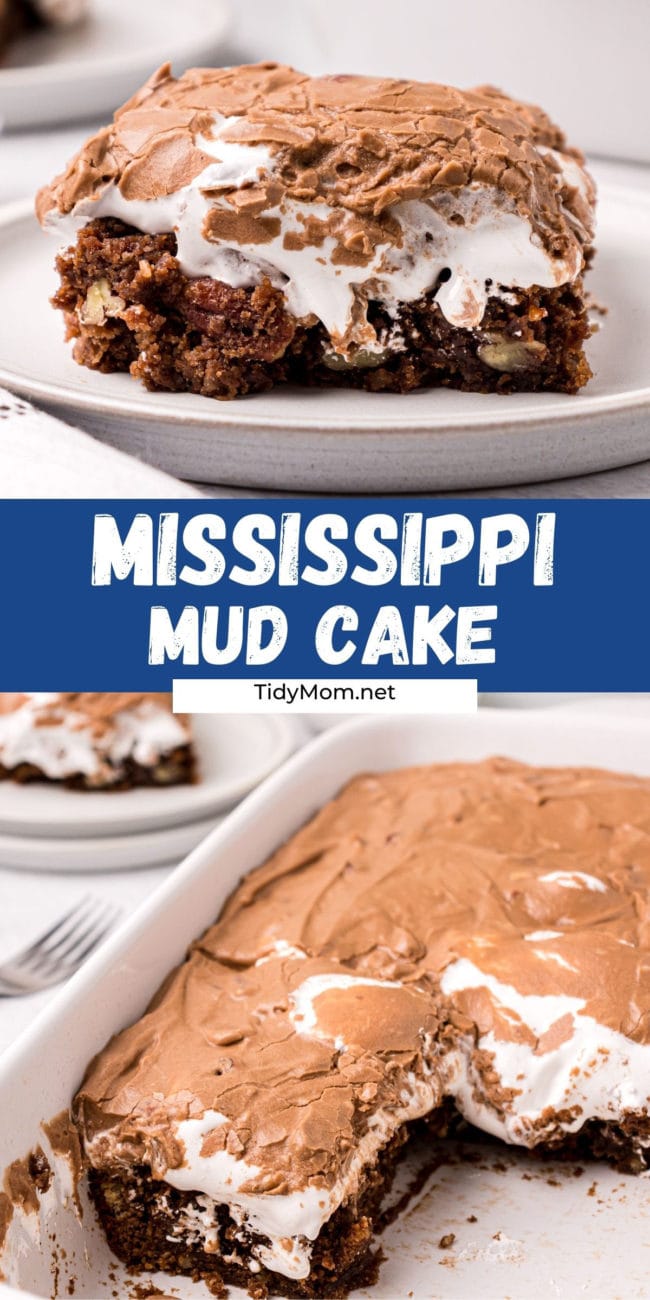Mississippi mud cake photo collage.