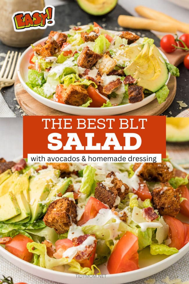 blt salad photo collage