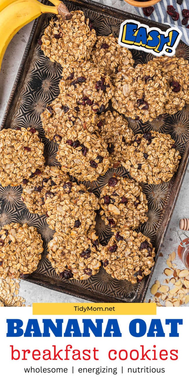 banana oat cookies on a cookie sheet