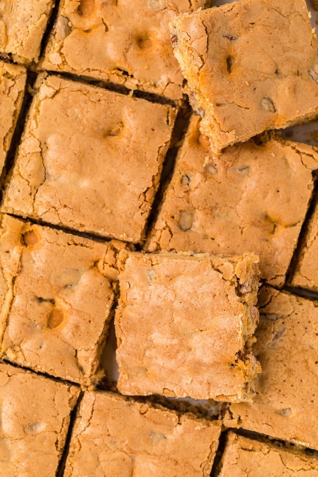 butterscotch brownie dessert bars cut into squares