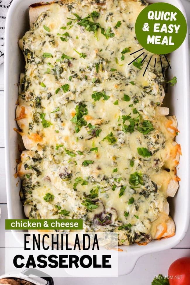 chicken enchiladas casserole in a white baking dish