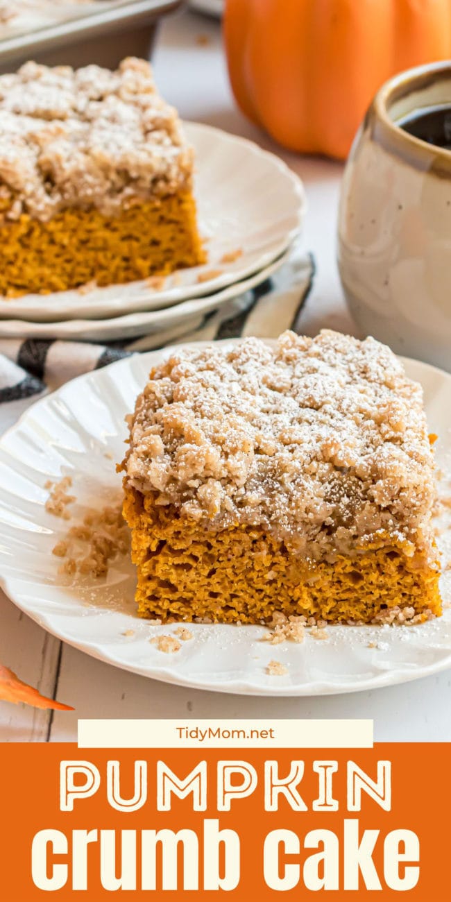 close up of a serving of pumpkin breakfast cake with a crumb topping and dusting of powdered sugar