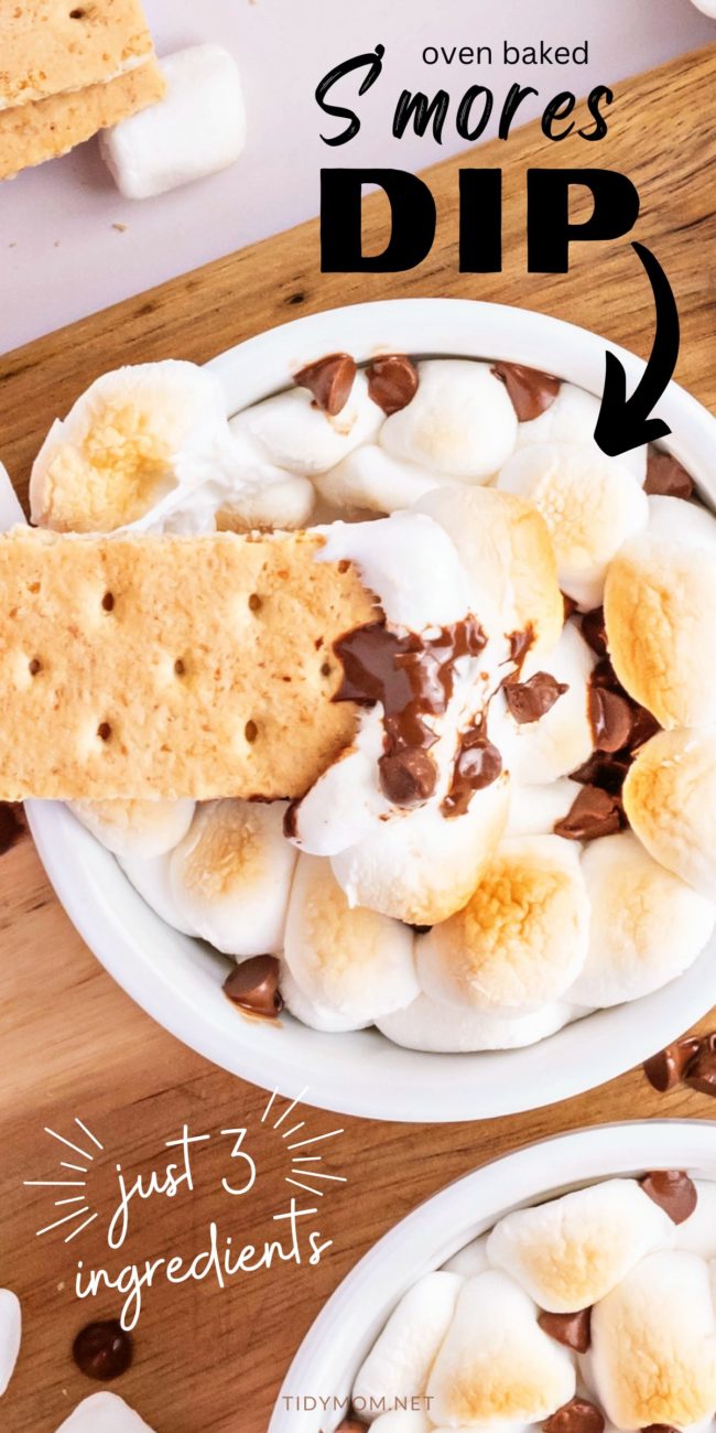dessert dip with melted chocolate and toasted marshmallows.