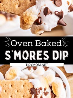 dipping a graham cracker in melted chocolate and toasted marshmallows in a bowl