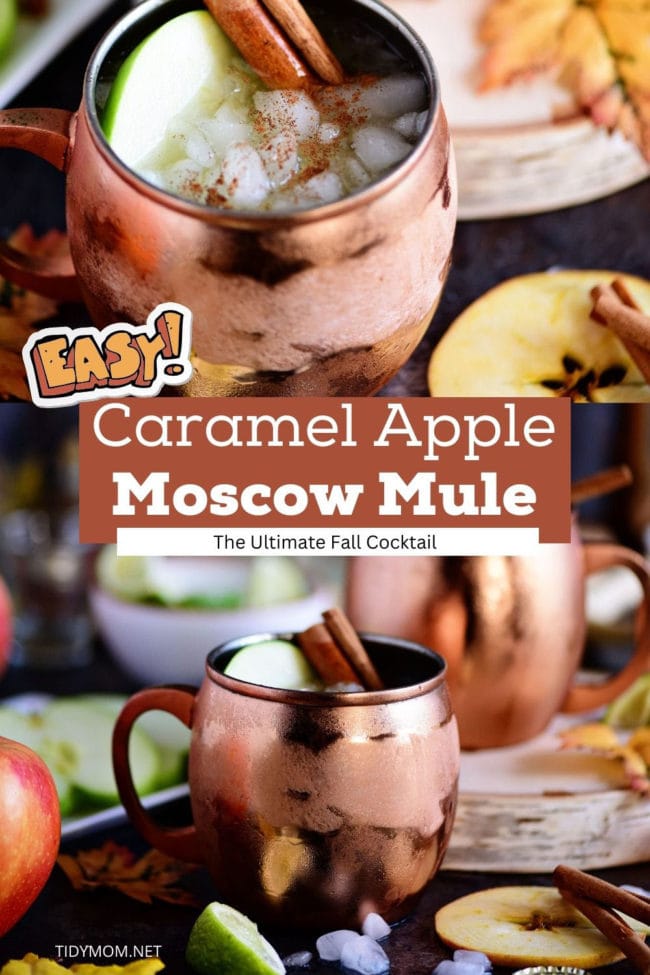 Moscow Mule with Apple Cider – The Table by Harry & David