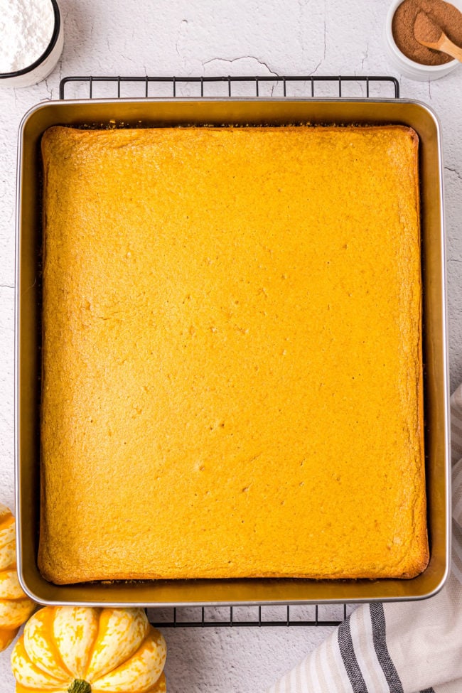 baked cake in a 9x13 metal cake pan