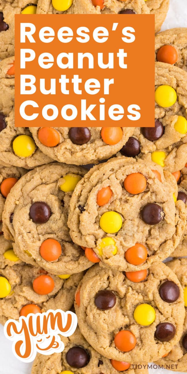 peanut butter cookies loaded with Reese's Pieces