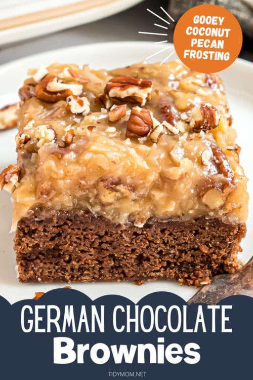 German Chocolate Brownies & Coconut Pecan Frosting - TidyMom®