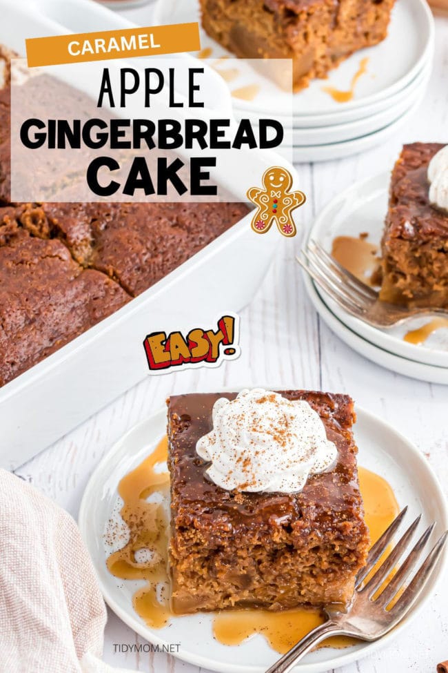 a serving of apple gingerbread cake on a plate with a fork