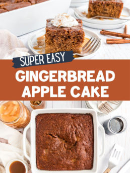 apple gingerbread cake photo collage