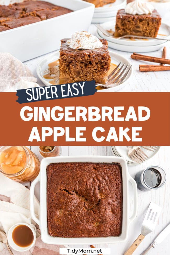 apple gingerbread cake photo collage