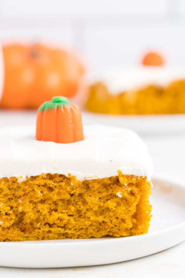 fall cake with a candy pumpkin on a white plate