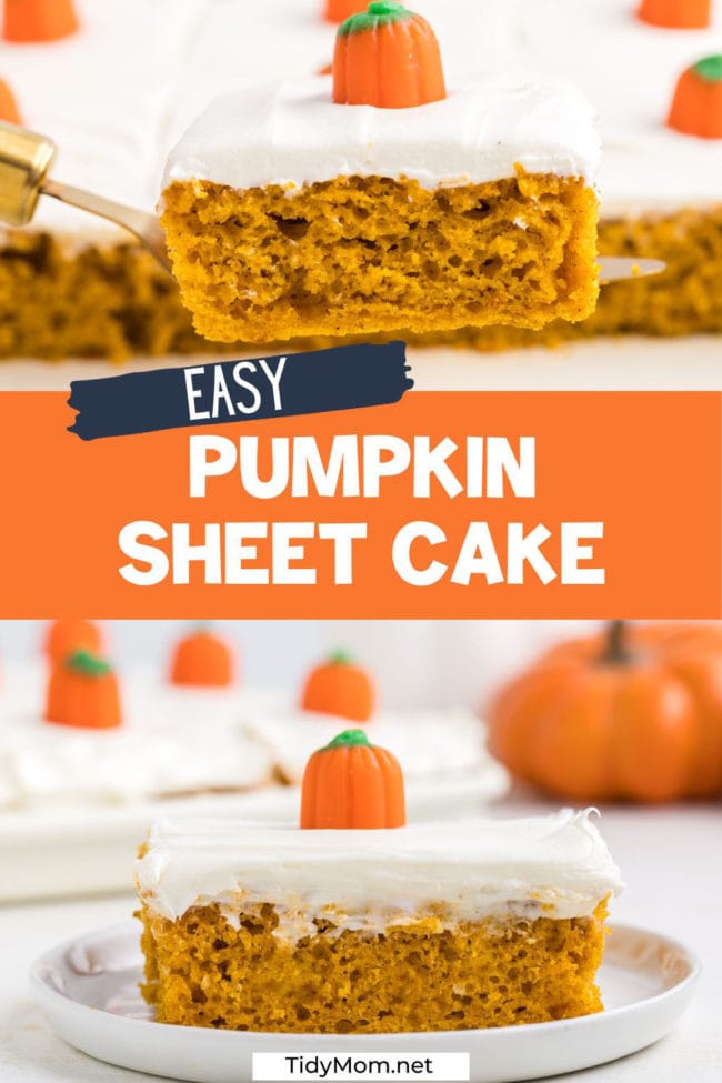 pumpkin sheet cake photo collage