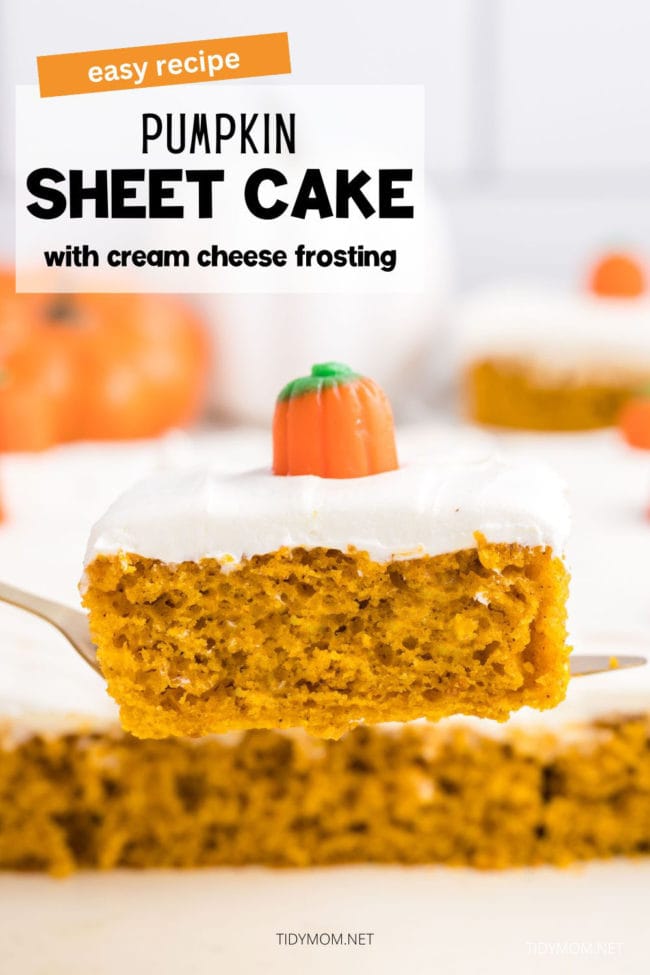 Cream Cheese Sheet Cake Recipe: How to Make It