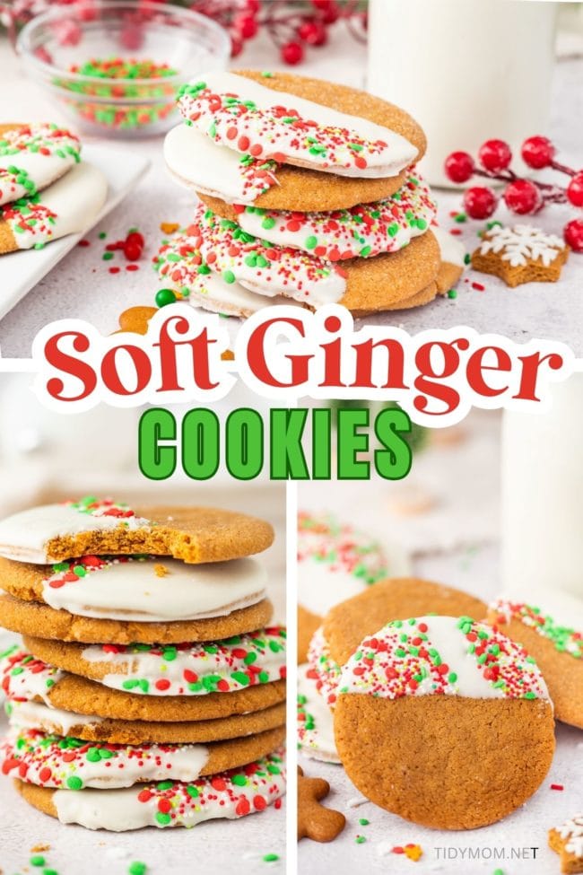 ginger cookie collage