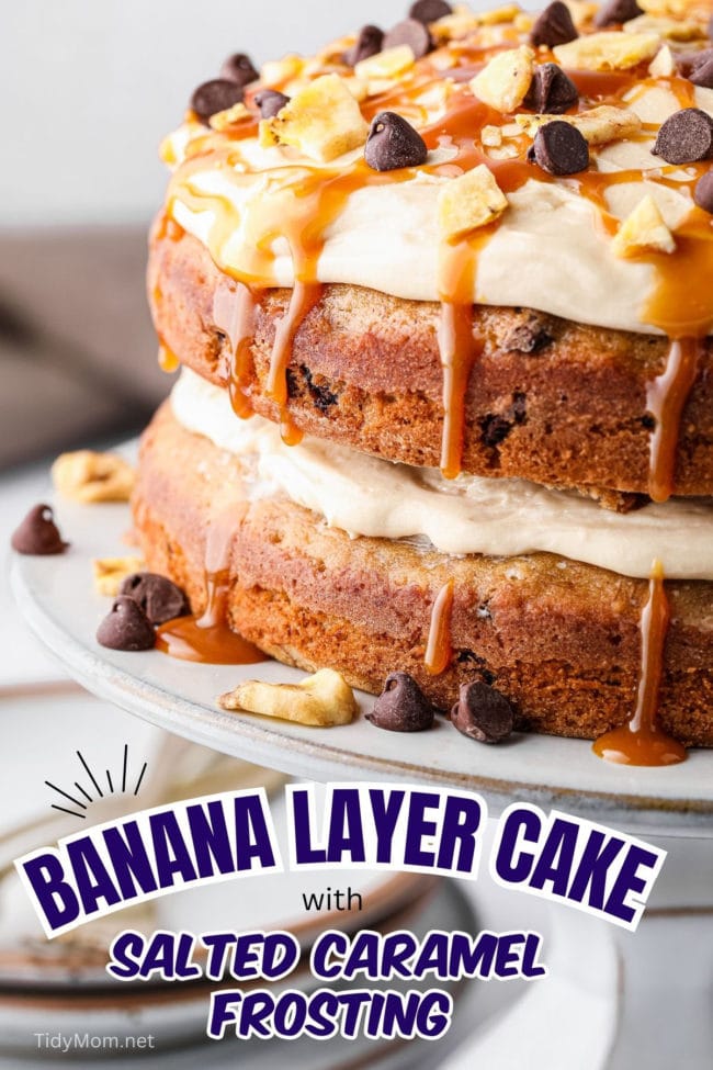 frosted banana cake with chocolate chips