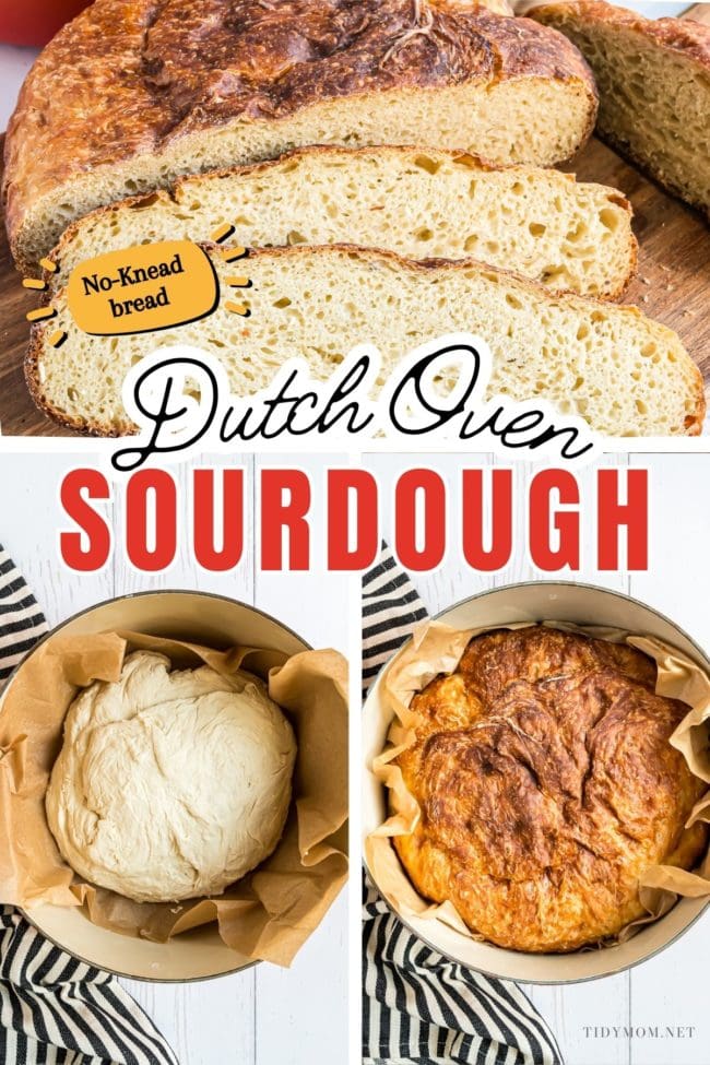 sourdough no-knead dutch oven bread photo collate