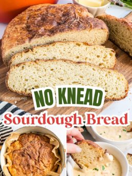 no-knead dutch oven sourdough bread sliced