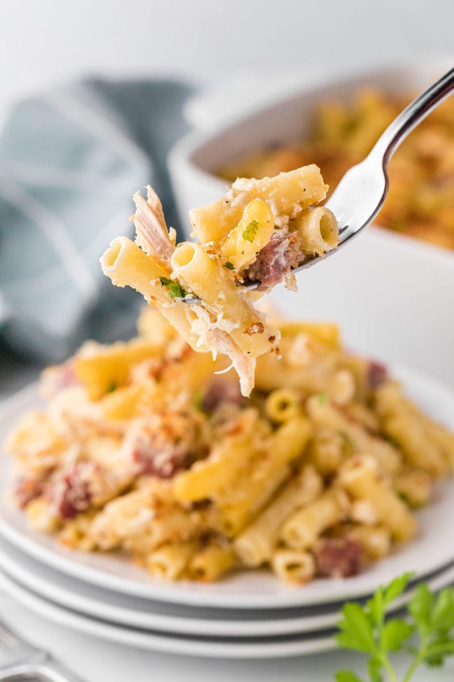 cheesy pasta casserole on a fork