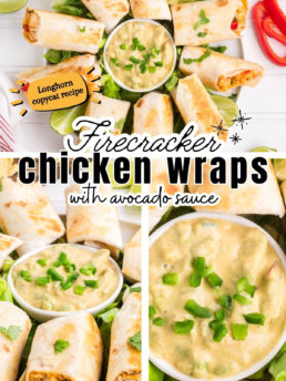 chicken wrap appetizers
