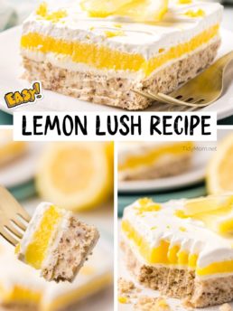 lemon lush dessert photo collage