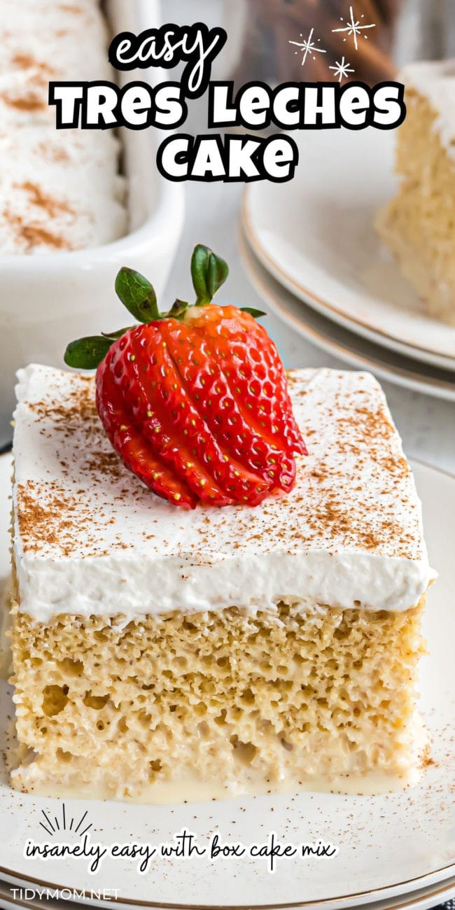 close up of a slice of tres leches cake with a fresh strawberry on top