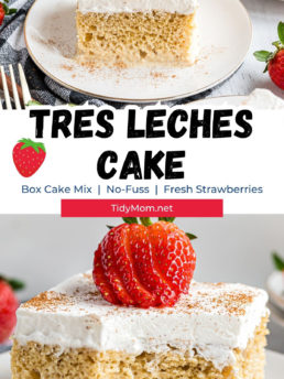 easy tres leches cake photo collate